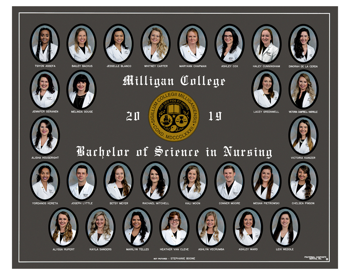 Bachelor of Science in Nursing