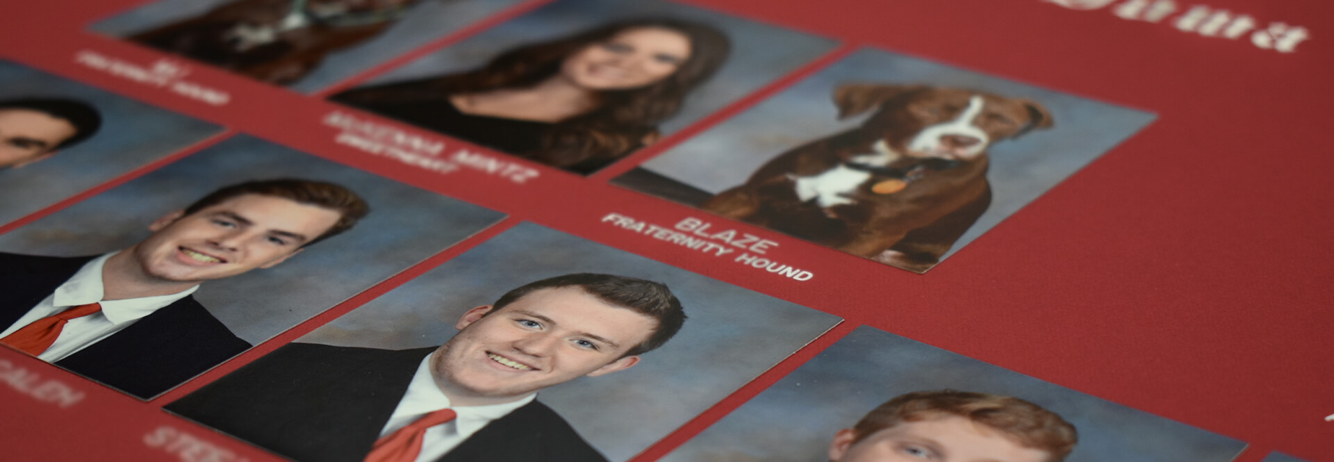 close up of three dimensional composite